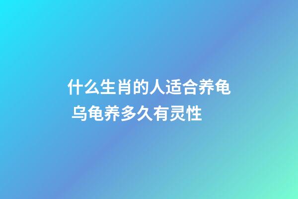 什么生肖的人适合养龟 乌龟养多久有灵性